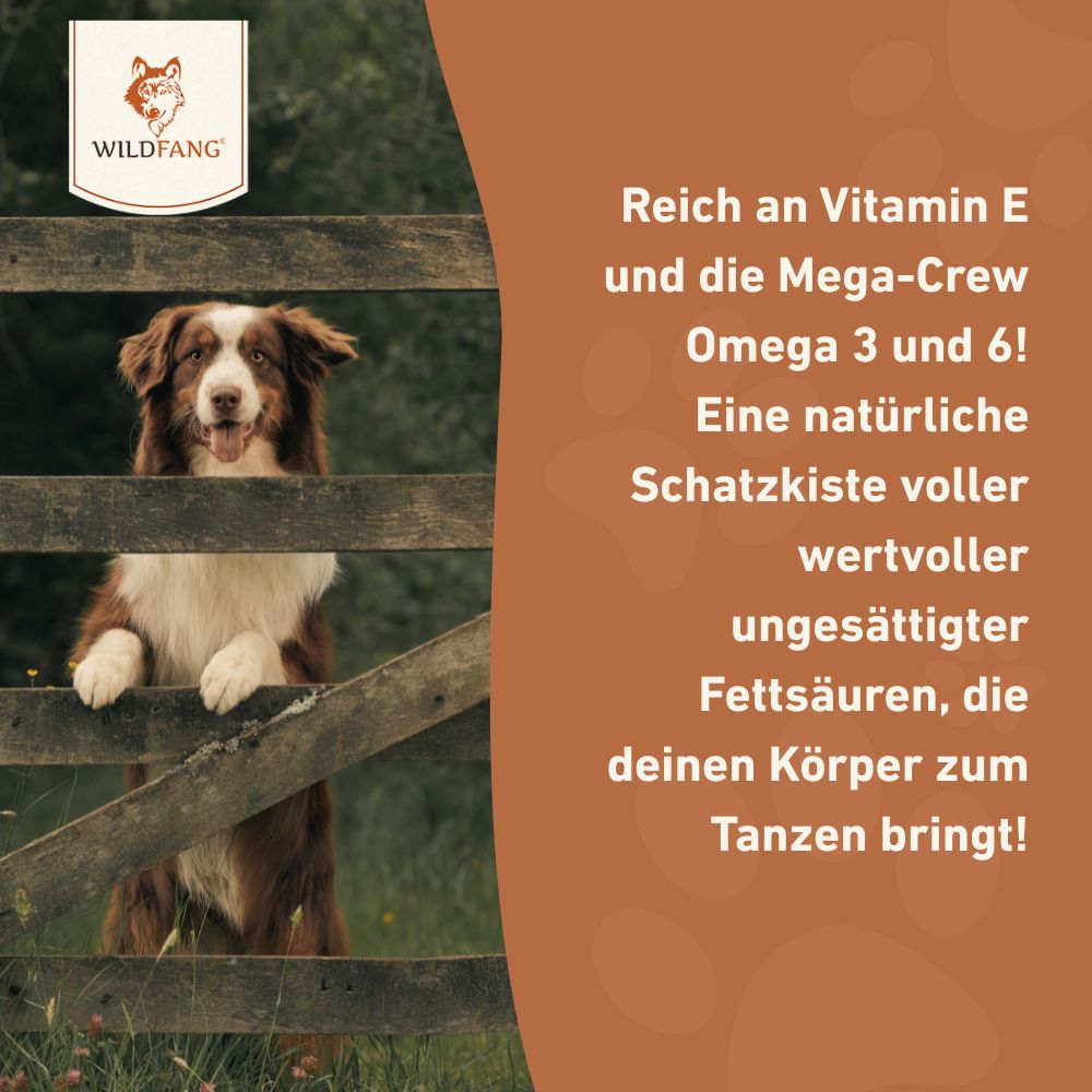 Lachsöl für Hunde - BARF-Öl - 250 ml-Hundefutter-Wildfang Petcare GmbH-