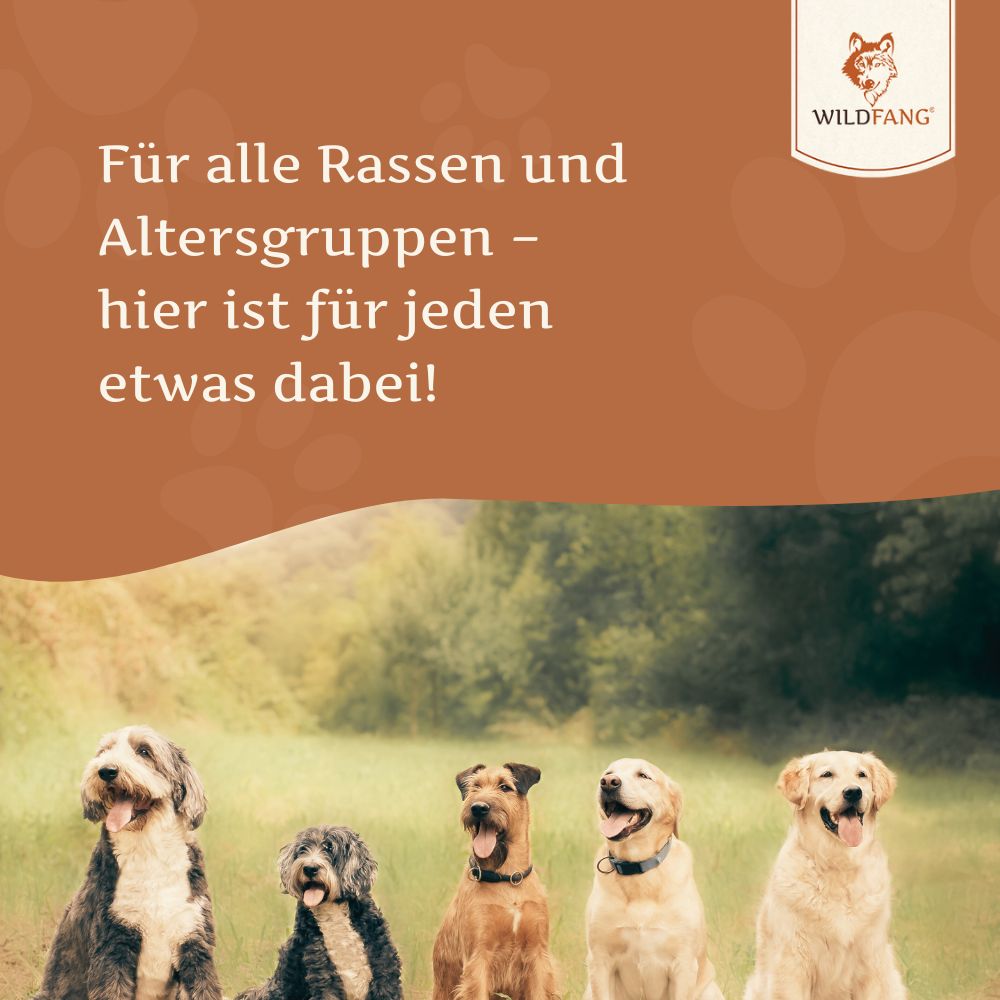 Lachsöl für Hunde - BARF-Öl - 250 ml-Hundefutter-Wildfang Petcare GmbH-
