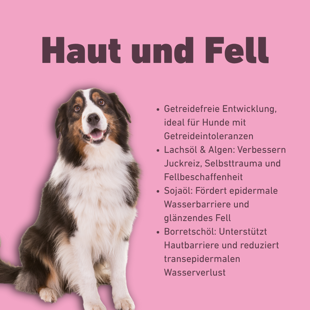 VetLine Trockenfutter mit Peptiden für Hunde - Haut und Fell-Hundefutter-Wildfang Petcare GmbH-