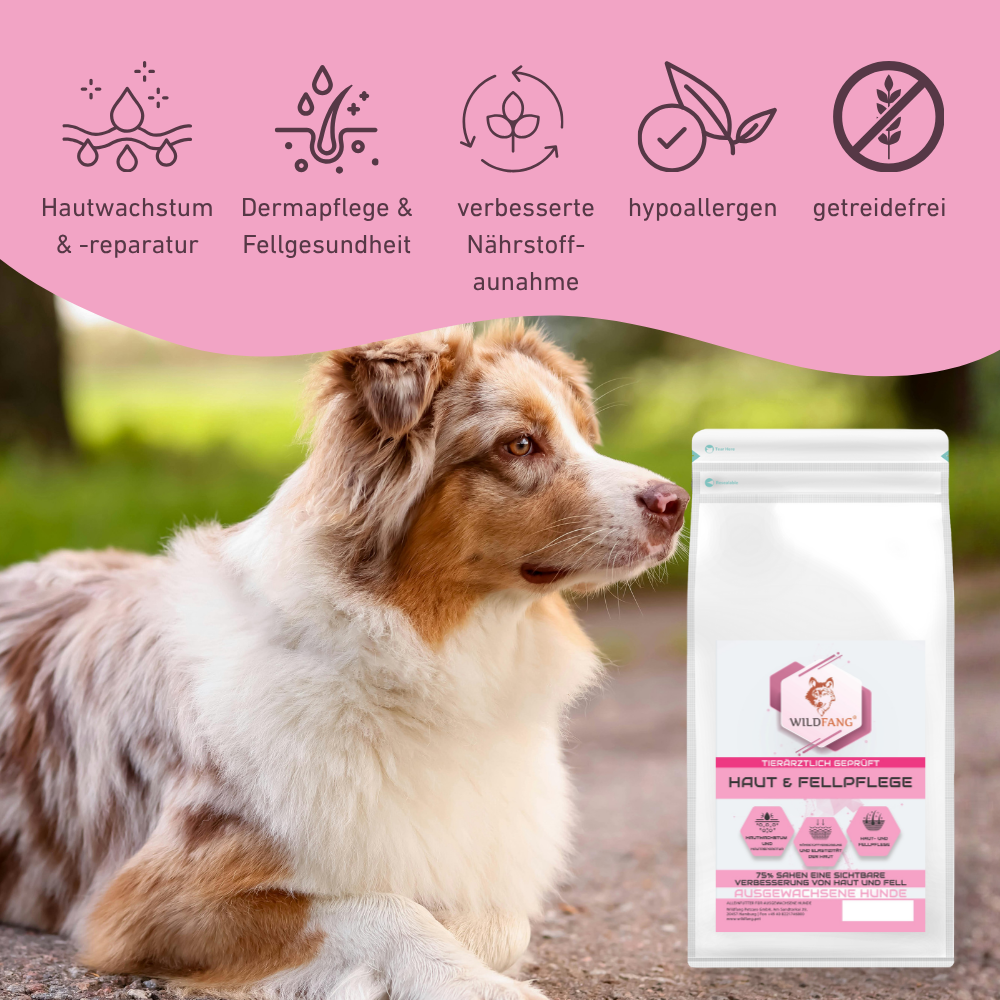 VetLine Trockenfutter mit Peptiden für Hunde - Haut und Fell-Hundefutter-Wildfang Petcare GmbH-