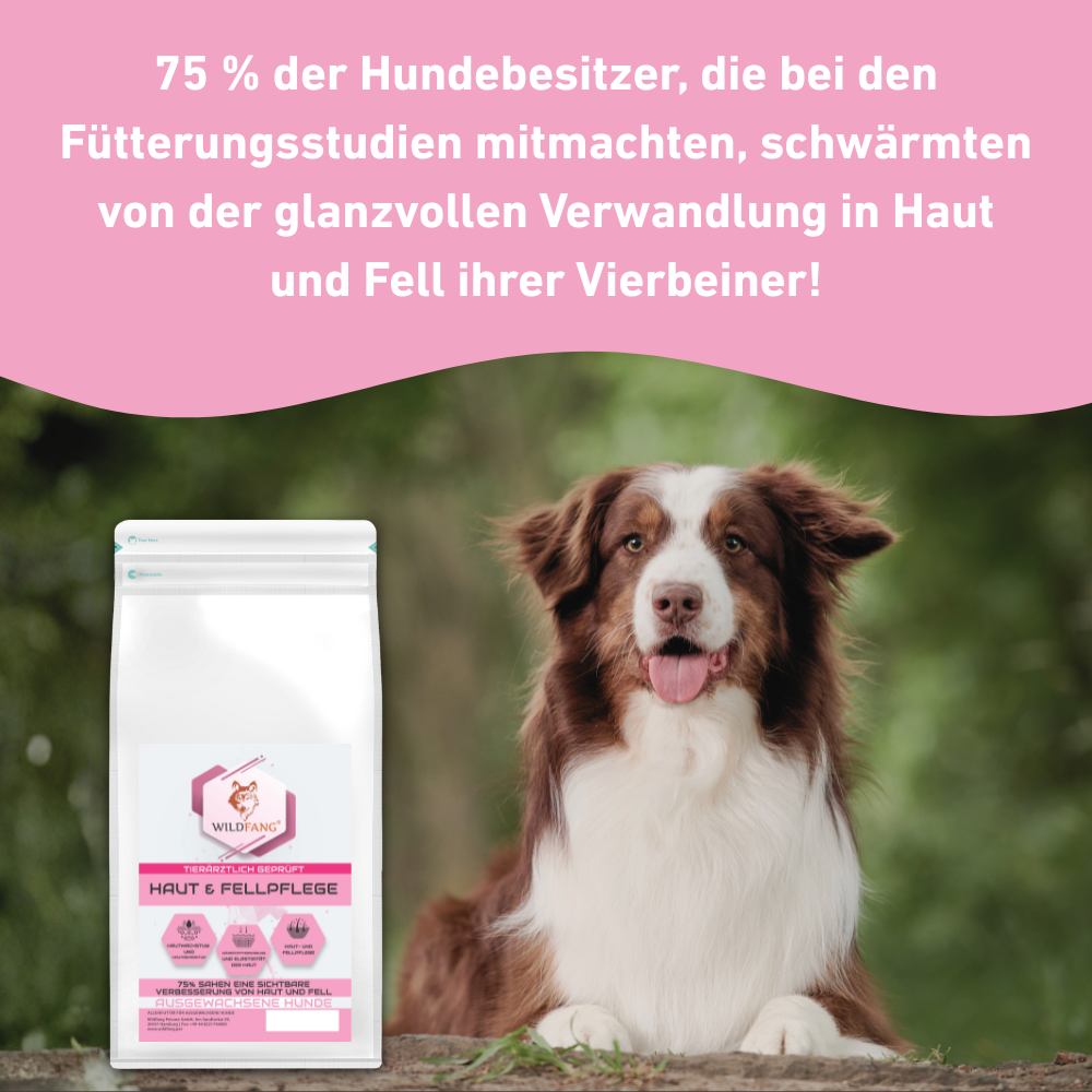 VetLine Trockenfutter mit Peptiden für Hunde - Haut und Fell-Hundefutter-Wildfang Petcare GmbH-