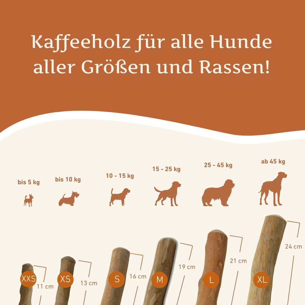 Kaffeeholz Kaustab-Hundespielzeug-Wildfang-