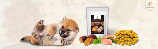Günstige Snacks aus dem Discounter vs. Wildfang® Snacks
