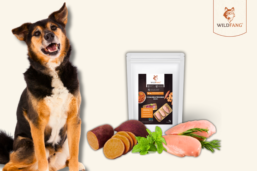 Günstige Snacks aus dem Discounter vs. Wildfang® Snacks