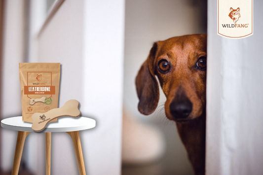 Warum wir die Produktbeschreibung bewusst überarbeitet und erweitert haben