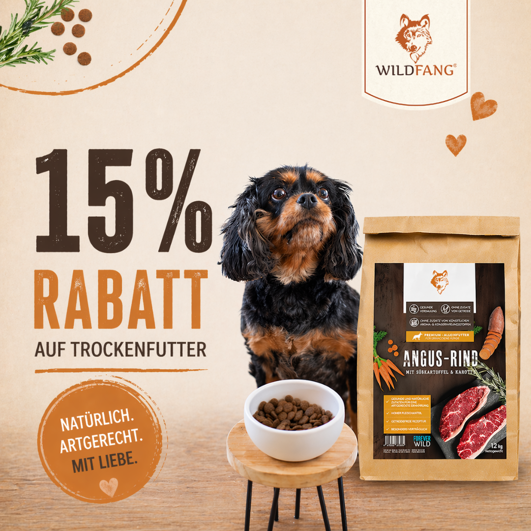 🐾 15% auf Trockenfutter – nur für kurze Zeit!