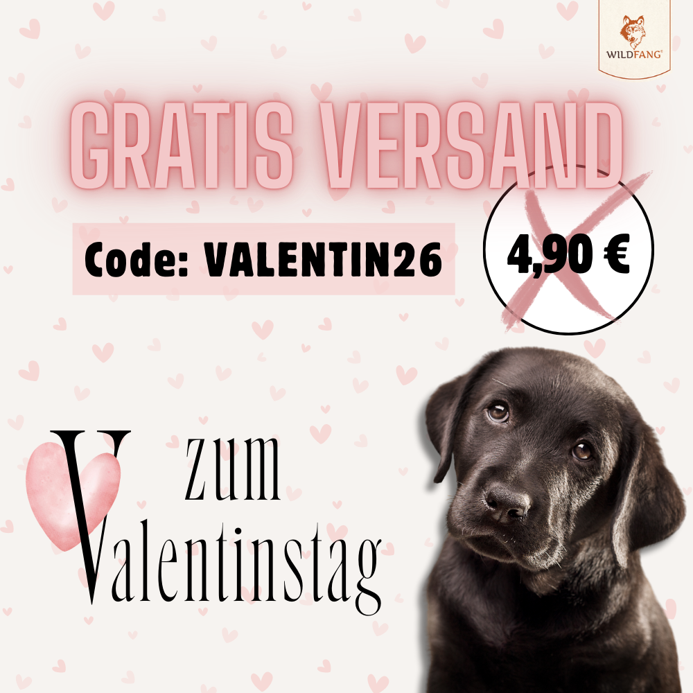 Valentinstag bei Wildfang: Liebe für deinen Hund & Gratis Versand 💕