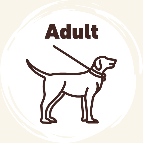 Trockenfutter für ausgewachsene Hunde