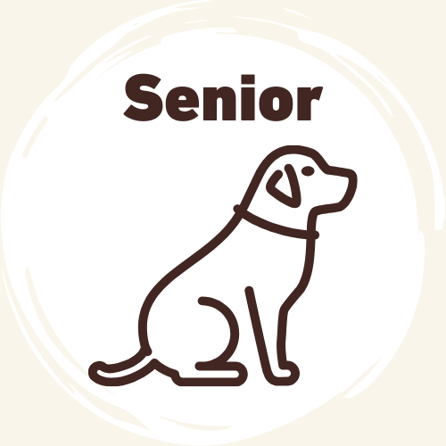 Trockenfutter für Senioren & sensible Hunde