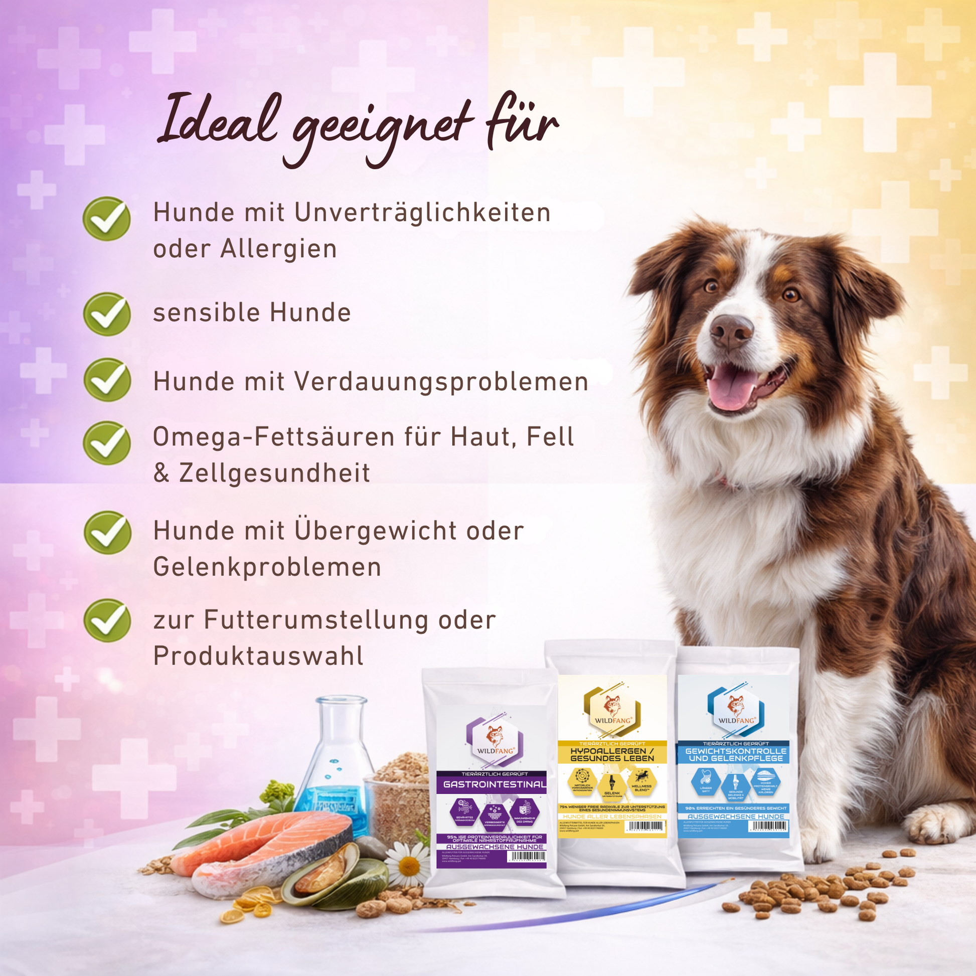 Genussbox VetLine-Hundefutter-Wildfang Petcare GmbH-