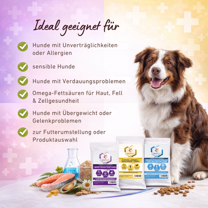 Genussbox VetLine-Hundefutter-Wildfang Petcare GmbH-