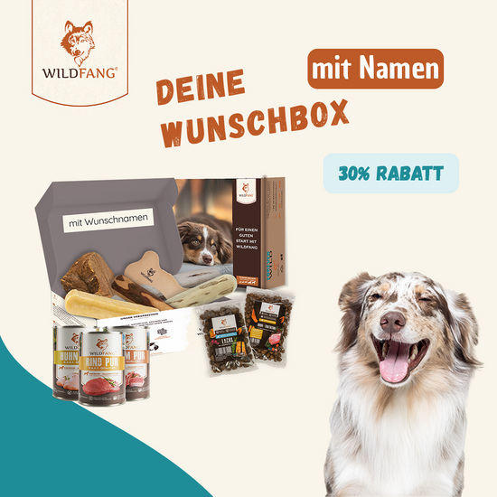 Grafik Wunschbox für Hunde von Wildfang