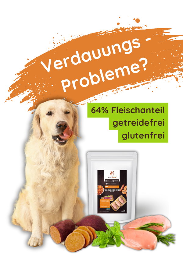 Verdauungs_Snacks_Wildfang_Hunde