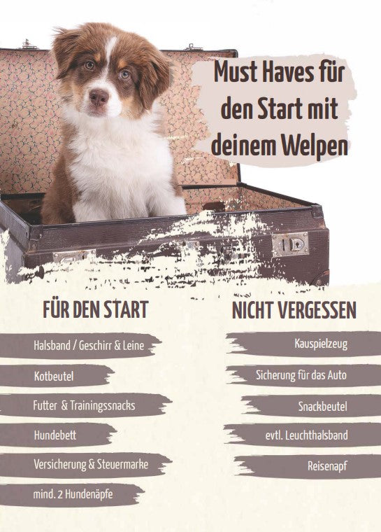 Wie wird mein Welpe stubenrein