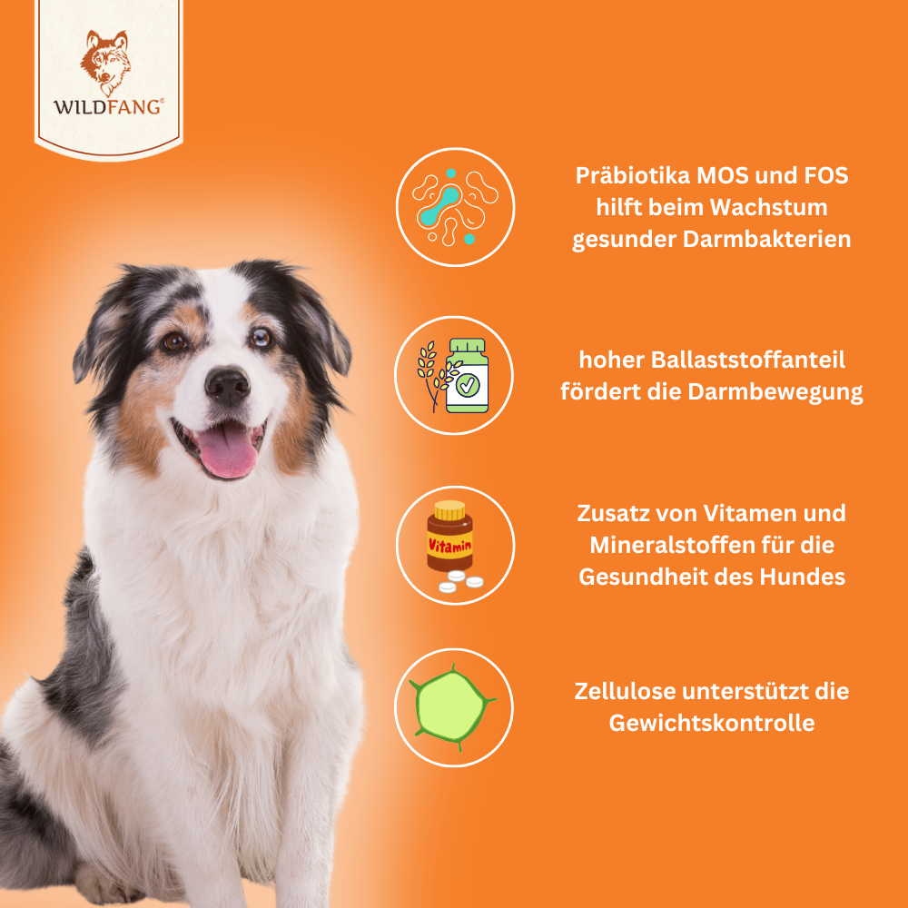 Verdauungsfördernde Snacks - getreidefrei - 3er Set-Hundefutter-Wildfang-