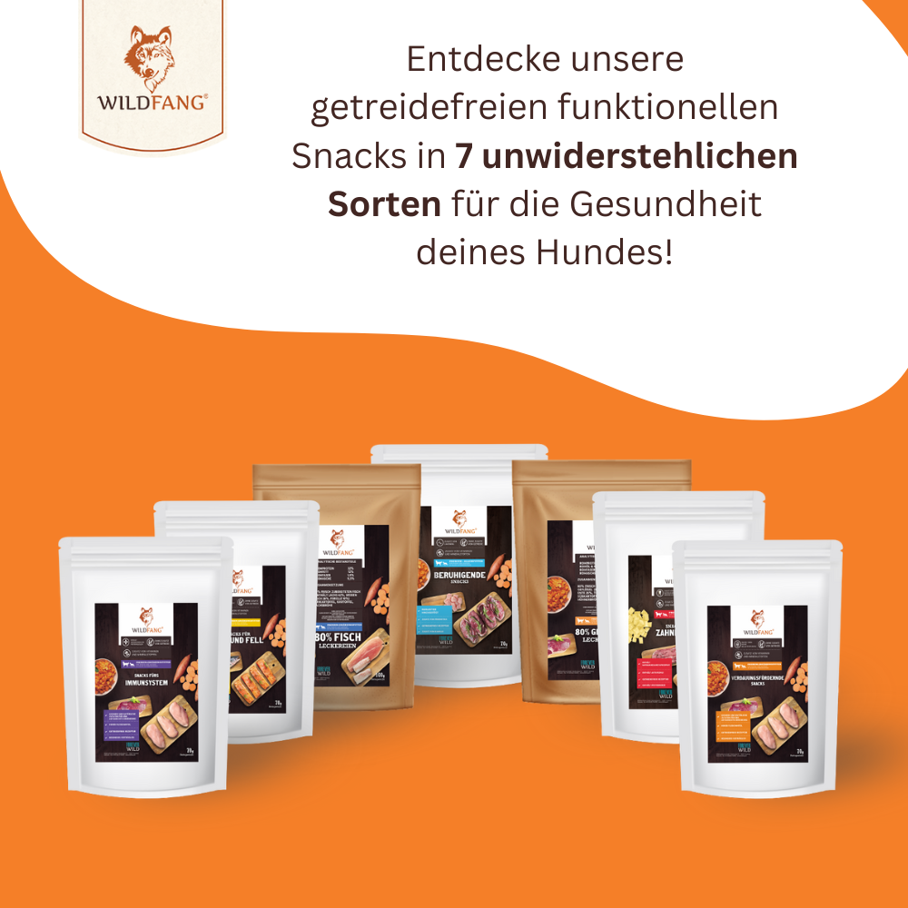 Verdauungsfördernde Snacks - getreidefrei - 3er Set-Hundefutter-Wildfang-