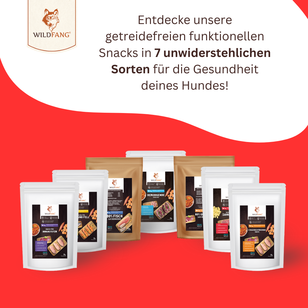 Zahnpflege Snacks - getreidefrei - 3er Set-Hundefutter-Wildfang-