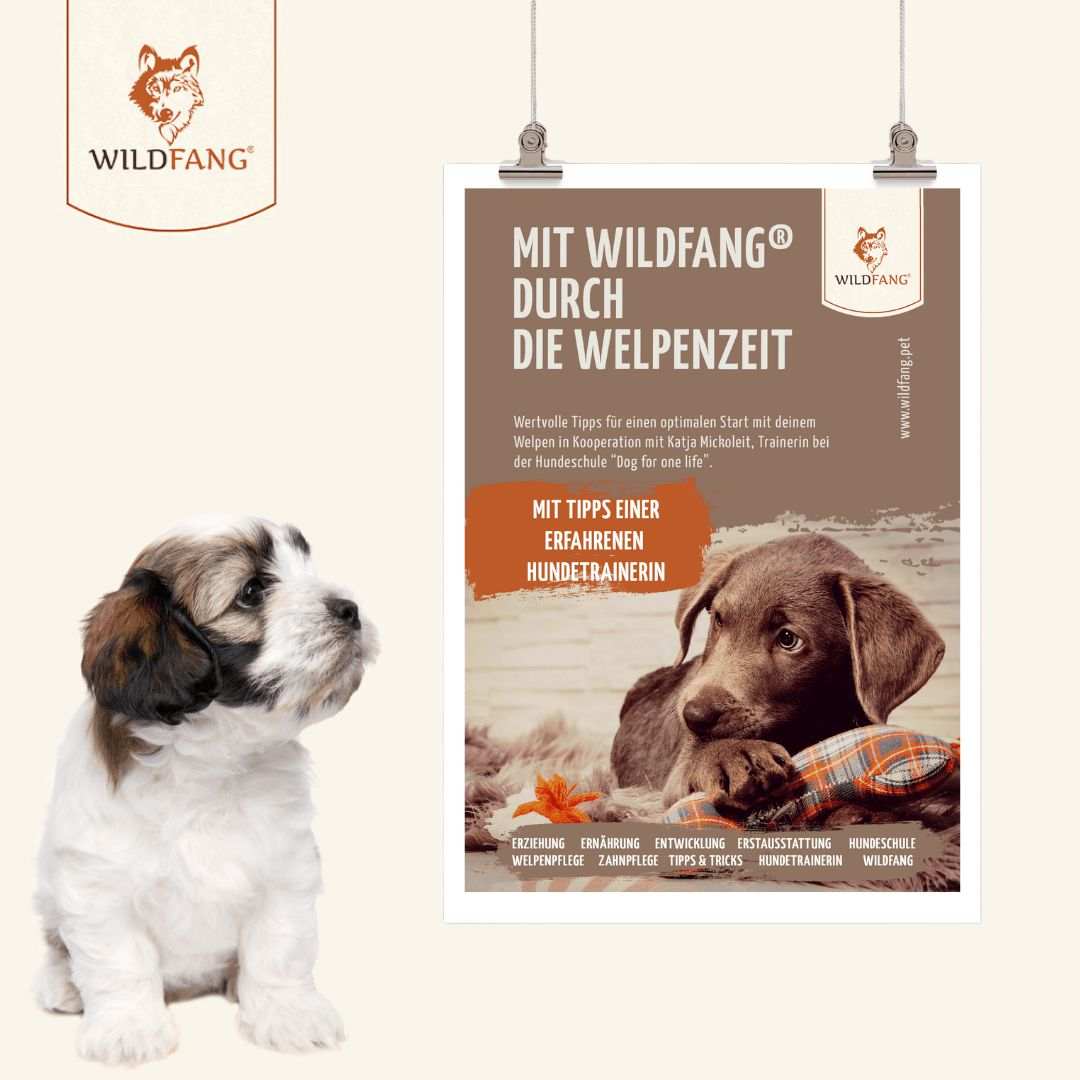 Gratis Welpenguide-Hundebedarf-Wildfang-