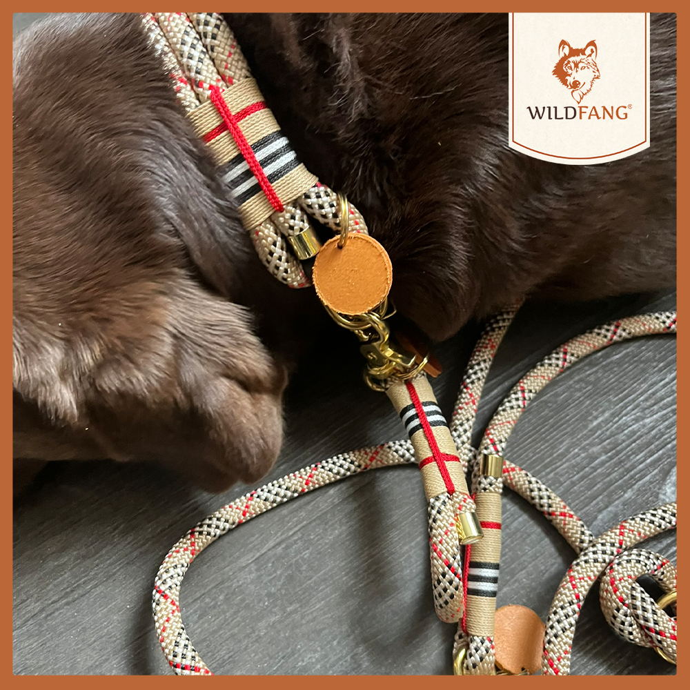Hundehalsband „Parkgeflüster“-Hundespielzeug-Wildfang-