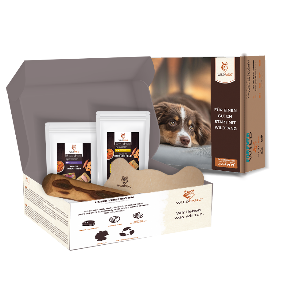 Paket "Abendrunde"-Hundebedarf-Wildfang-