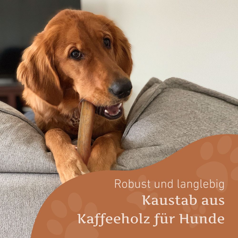 Paket "Willkommen Fellnase Mini"-Hundebedarf-Wildfang-
