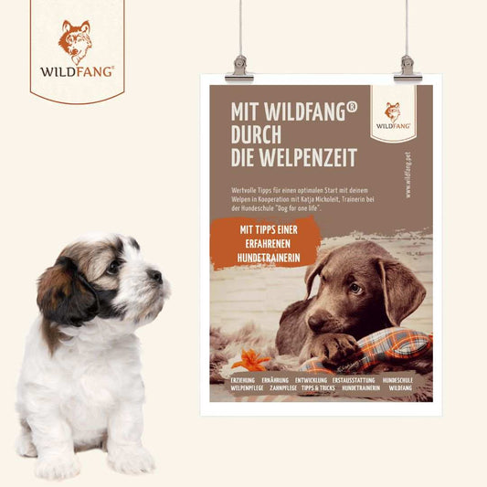Wildfang® Welpenguide-Hundebedarf-Wildfang-