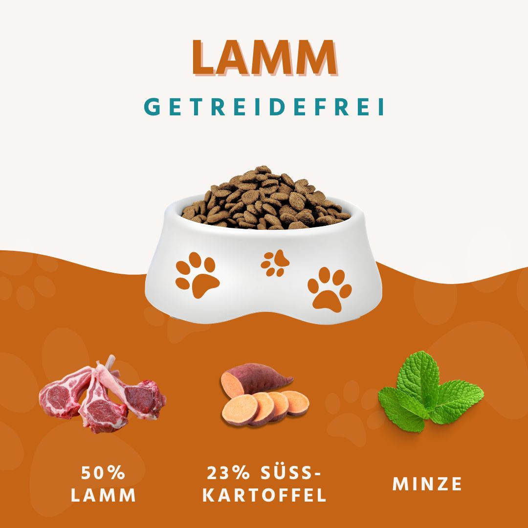 Adult Futterpaket Lamm - getreidefrei-Hundefutter-Wildfang-