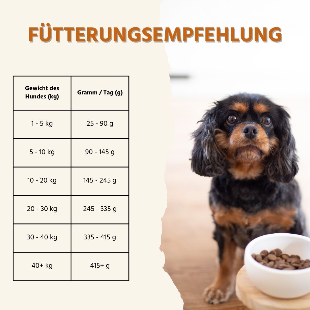 Adult Futterpaket Lamm - getreidefrei-Hundefutter-Wildfang-