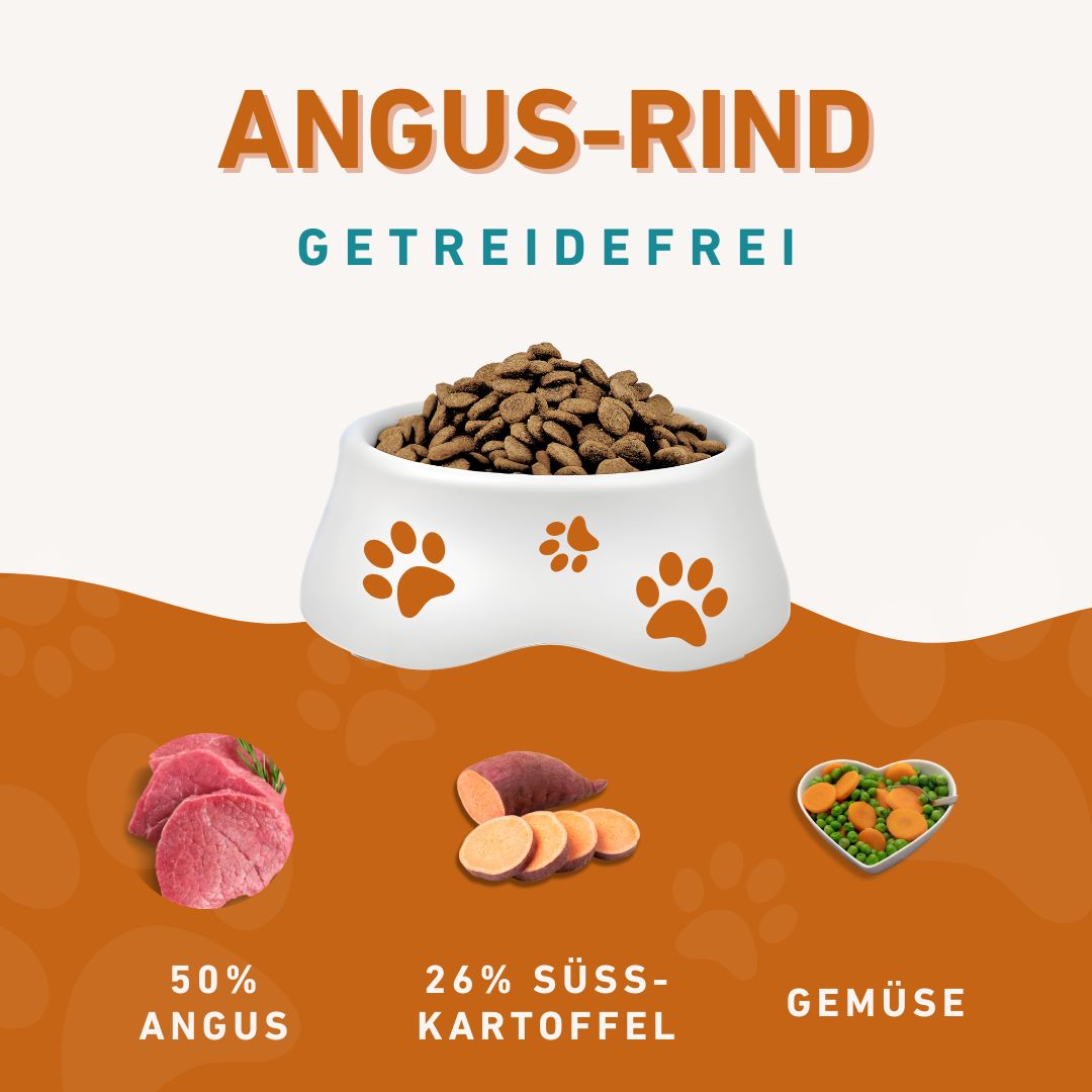 Adult Futterpaket Rind - getreidefrei-Hundefutter-Wildfang-