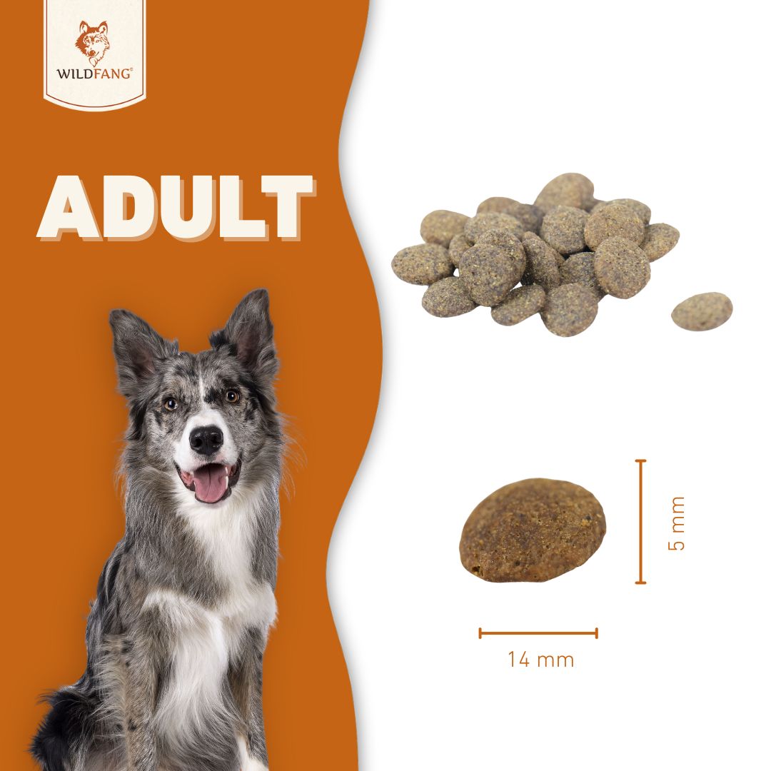 Adult Futterpaket Rind - getreidefrei-Hundefutter-Wildfang-