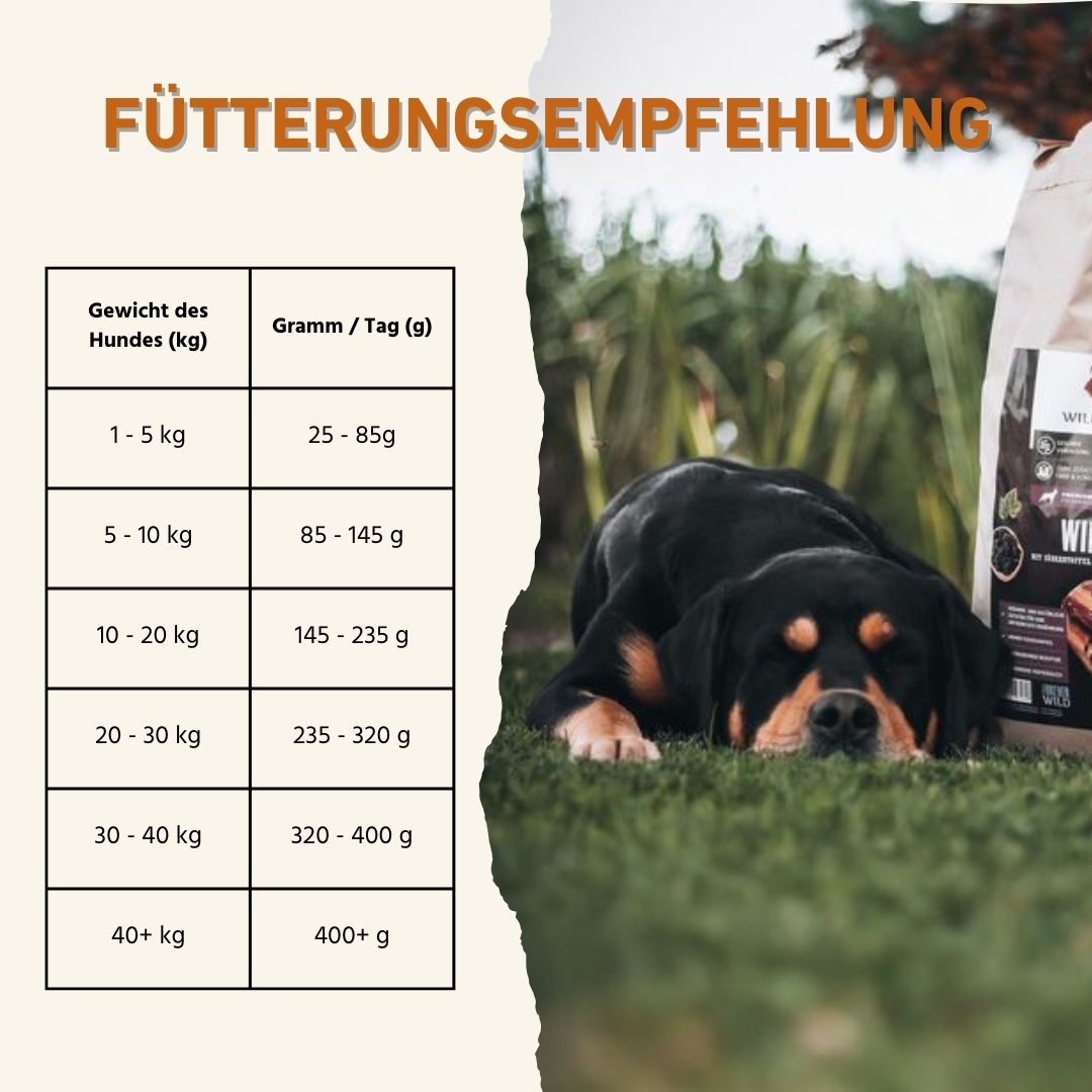 Adult Futterpaket Rind - getreidefrei-Hundefutter-Wildfang-