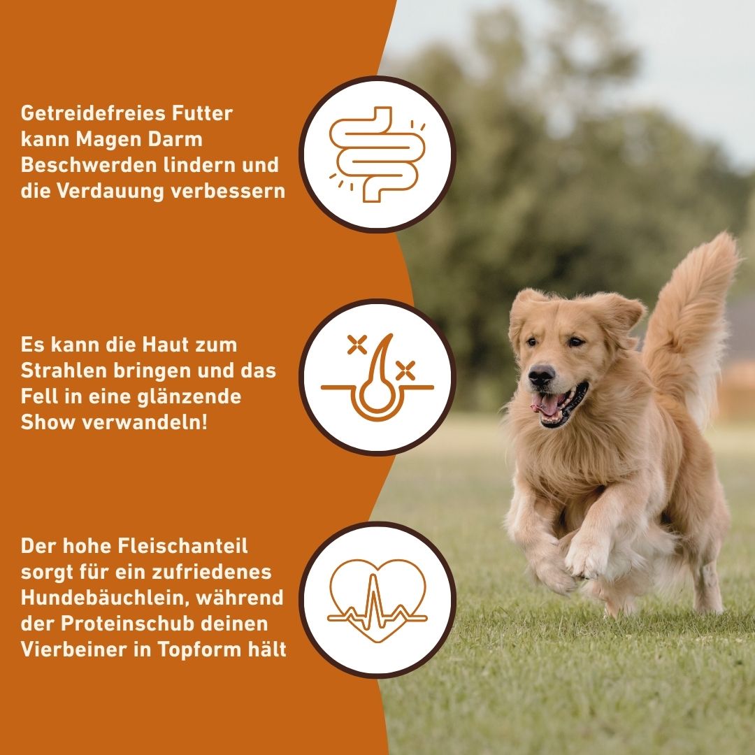 Adult Trockenfutter Sparpack 2 x 2 kg mit Angus Rind - getreidefrei-Hundefutter-Wildfang-
