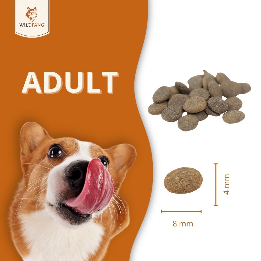 Adult Trockenfutter Sparpack 2 x 2 kg mit Ente - getreidefrei-Hundefutter-Wildfang-