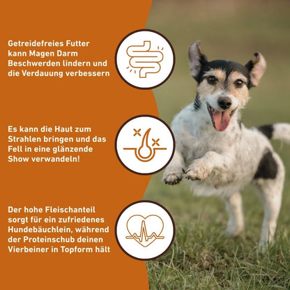 Adult Trockenfutter Sparpack 2 x 2 kg mit Ente - getreidefrei-Hundefutter-Wildfang-