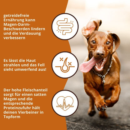 Adult Trockenfutter Sparpack 2 x 2 kg mit Huhn & Kräuter - getreidefrei-Hundefutter-Wildfang-