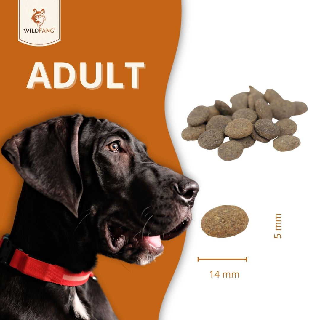 Adult Trockenfutter Sparpack 2 x 2 kg mit Lamm - getreidefrei-Hundefutter-Wildfang-