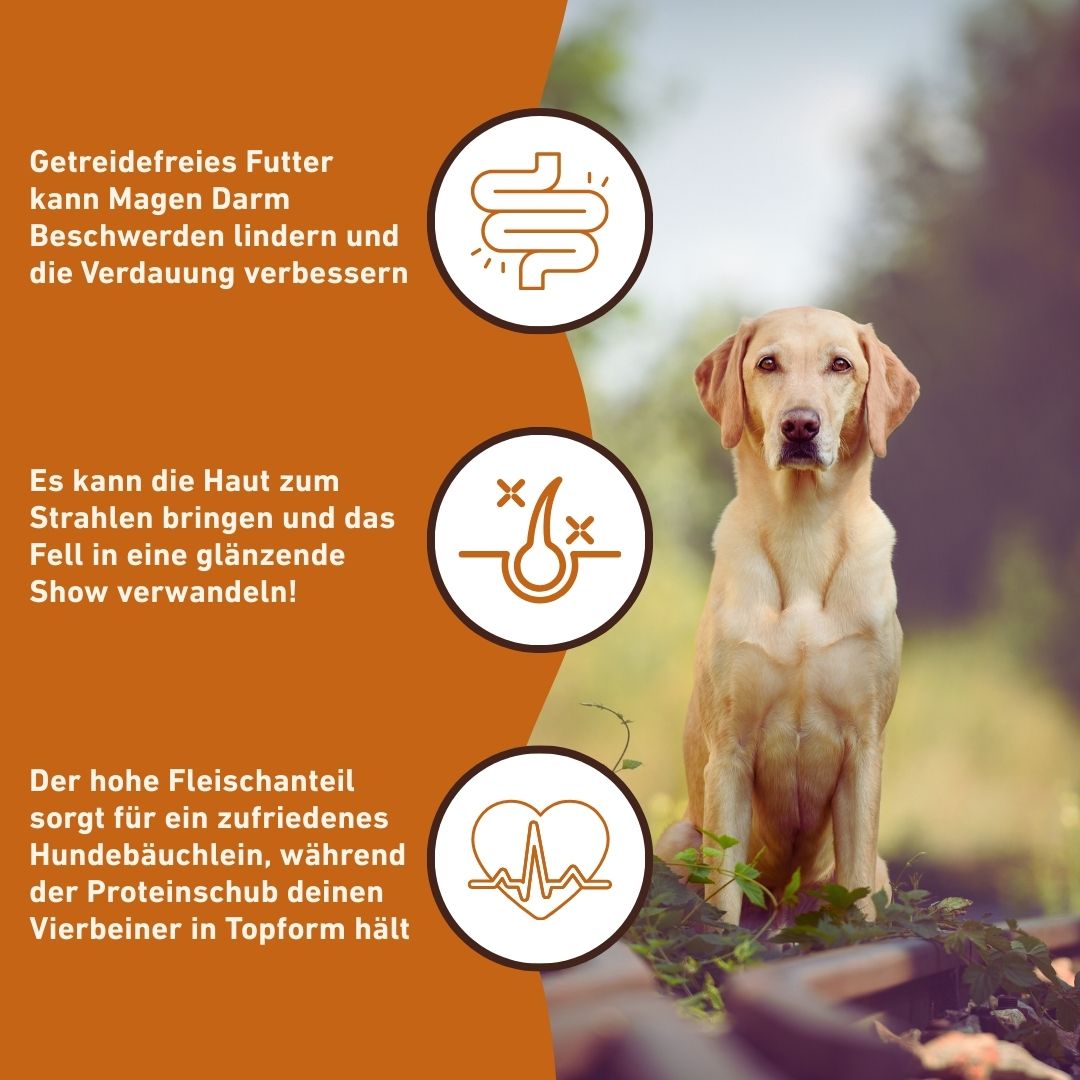 Adult Trockenfutter Sparpack 2 x 2 kg mit Lamm - getreidefrei-Hundefutter-Wildfang-