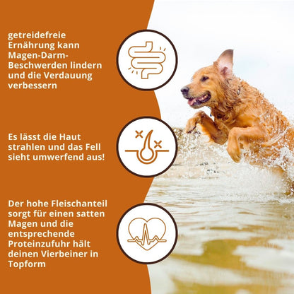 Adult Trockenfutter mit Thunfisch - getreidefrei-Hundefutter-Wildfang-