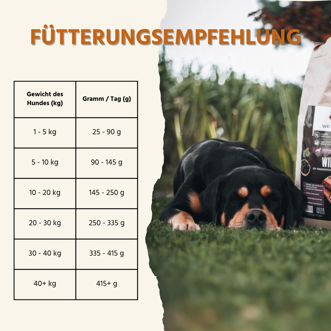 Trockenfutter mit Angus Rind - getreidefrei-Hundefutter-Wildfang-