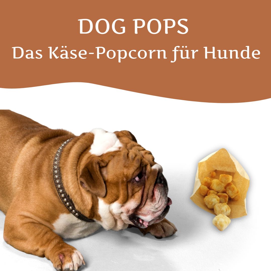 Dog Pops - Käse-Popcorn für Hunde-Hundefutter-Wildfang-