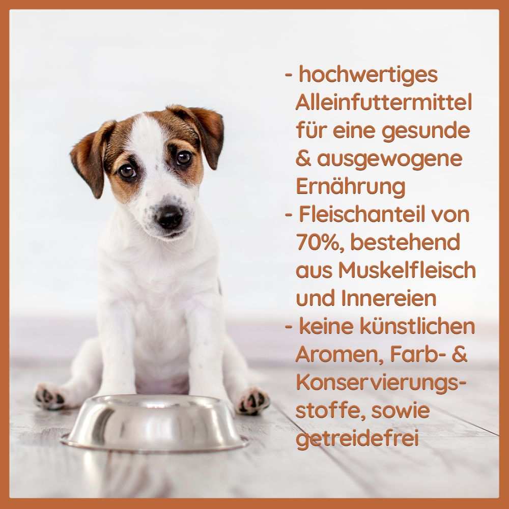 Futterpaket Huhn - getreidefreies Trocken- und Nassfutter-Hundefutter-Wildfang-