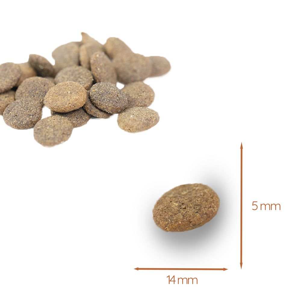 Adult Futterpaket Lamm - getreidefrei-Hundefutter-Wildfang-
