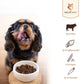 Futterpaket Rind - getreidefreies Trocken- und Nassfutter-Hundefutter-Wildfang-