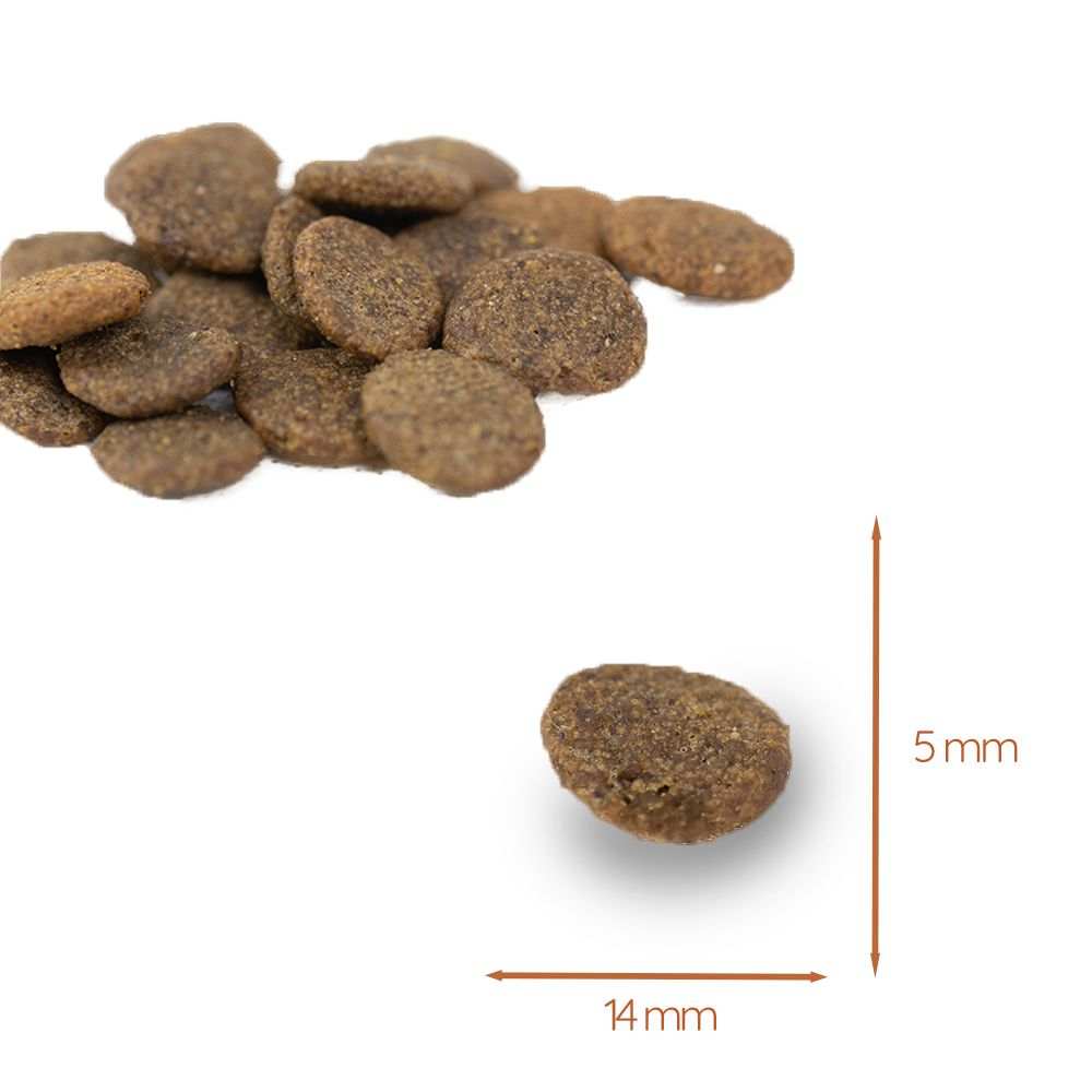 Adult Futterpaket Rind - getreidefrei-Hundefutter-Wildfang-