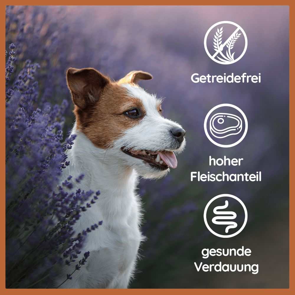 Nassfutter Huhn pur - BARF Qualität-Hundefutter-Wildfang-