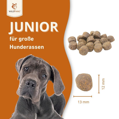 Junior Trockenfutter mit Lachs für Welpen - getreidefrei-Hundefutter-Wildfang-