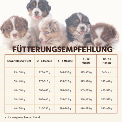Junior Trockenfutter mit Lachs für Welpen - getreidefrei-Hundefutter-Wildfang-
