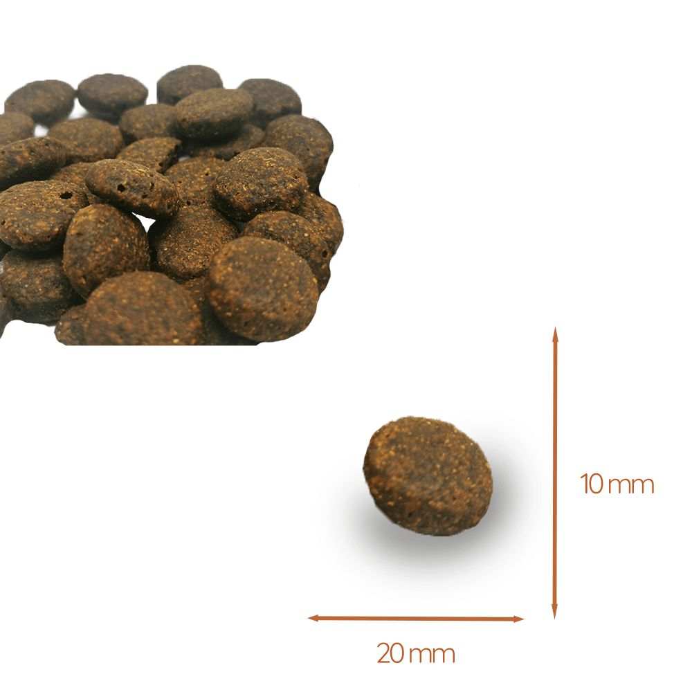 Maxi Adult Trockenfutter mit Lachs und Forelle - ideal für große Hunderassen - getreidefrei-Hundefutter-Wildfang-
