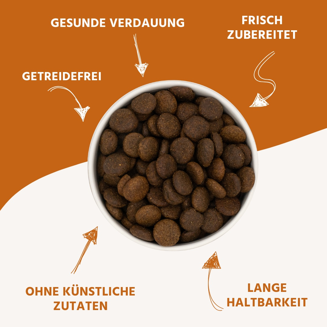 Trockenfutter mit Lachs und Forelle - getreidefrei - ideal für große Hunderassen-Hundefutter-Wildfang-