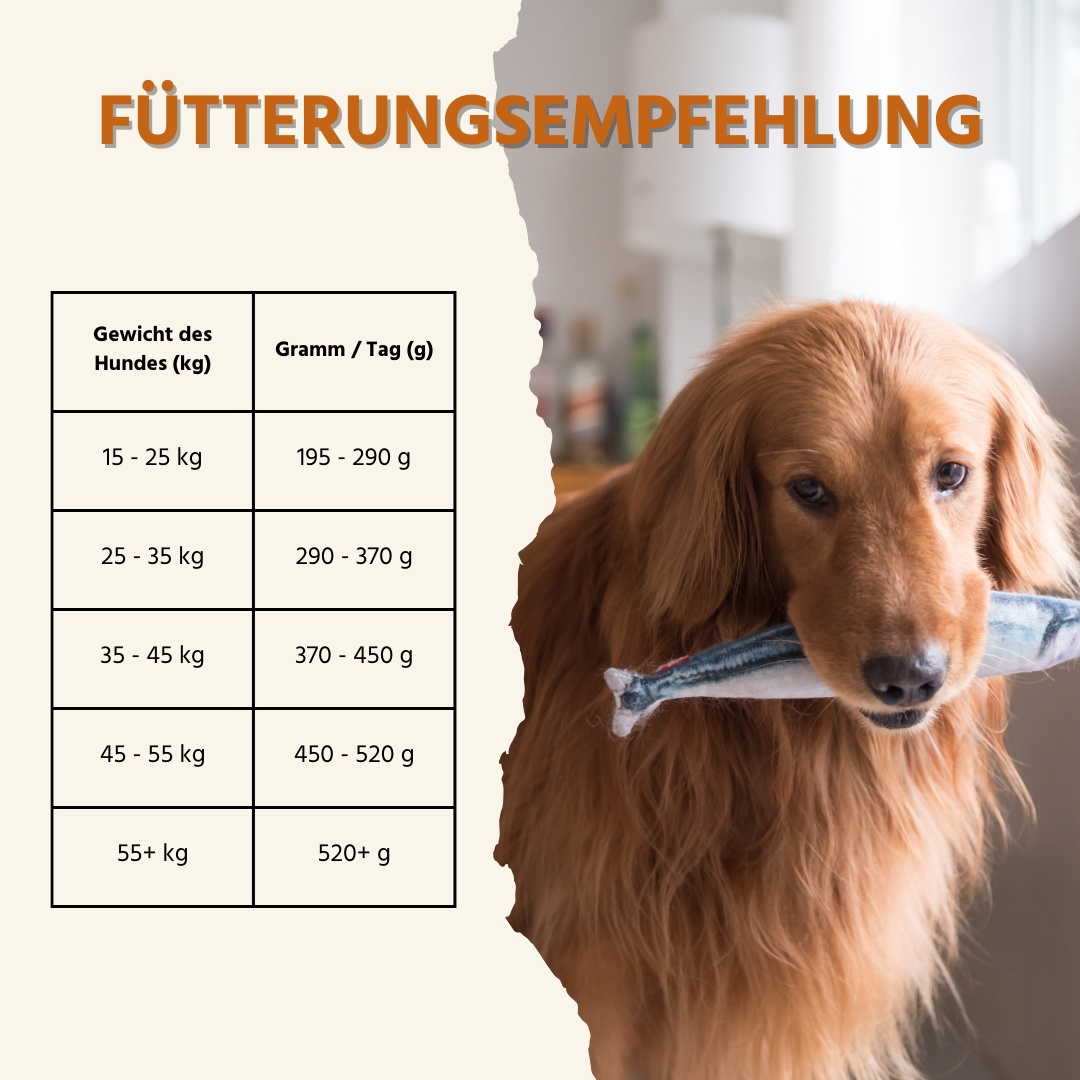 Trockenfutter mit Lachs und Forelle - getreidefrei - ideal für große Hunderassen-Hundefutter-Wildfang-